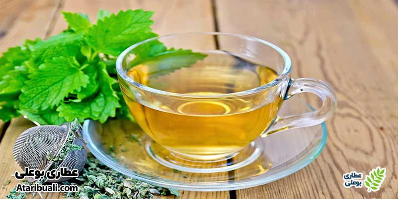دمنوش بادرنجبویه
