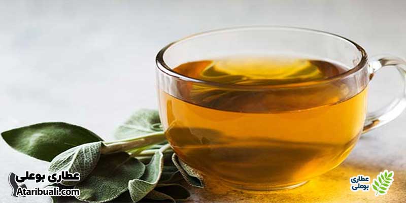 دمنوش مریم گلی