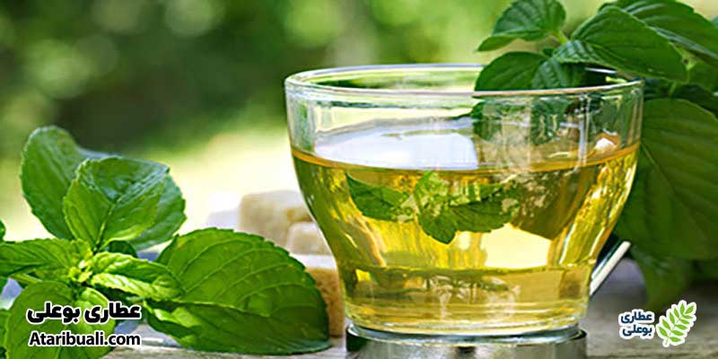 ترکیبات عرق نعنا