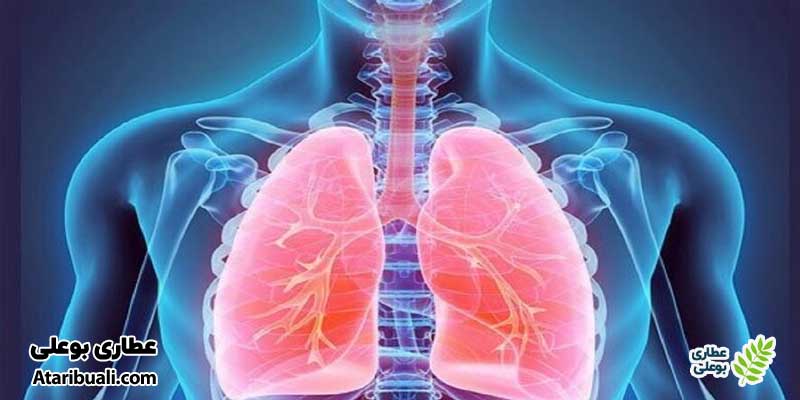 خواص عرق هل، تقویت سیستم تنفسی