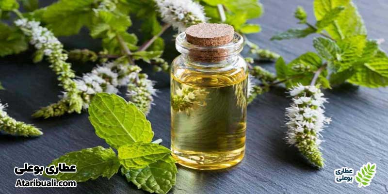 طریقه مصرف عرق نعنا