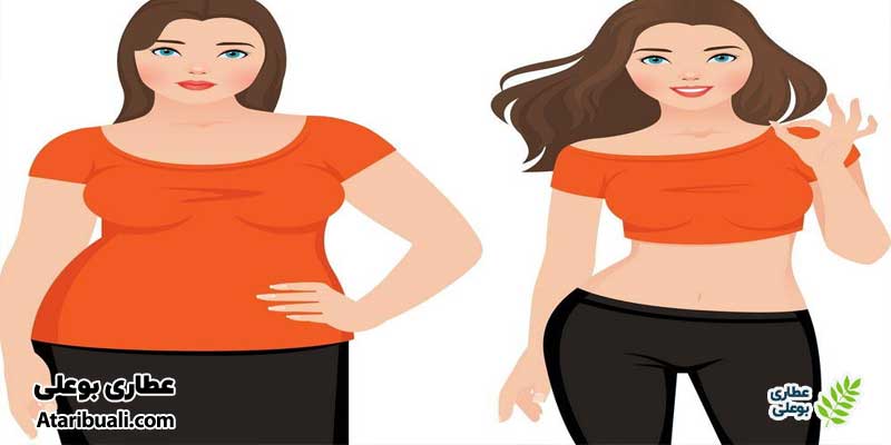 خواص عرق نعنا، کاهش وزن و لاغری