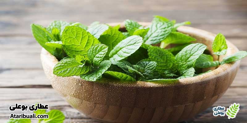 نعنا چیست؟