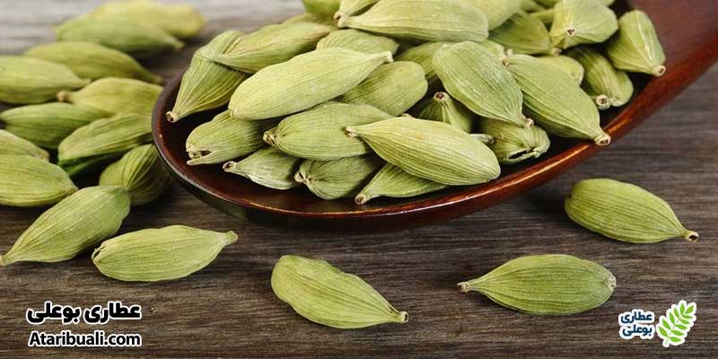 هل چیست؟