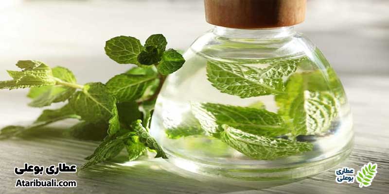 عرق نعنا چیست؟