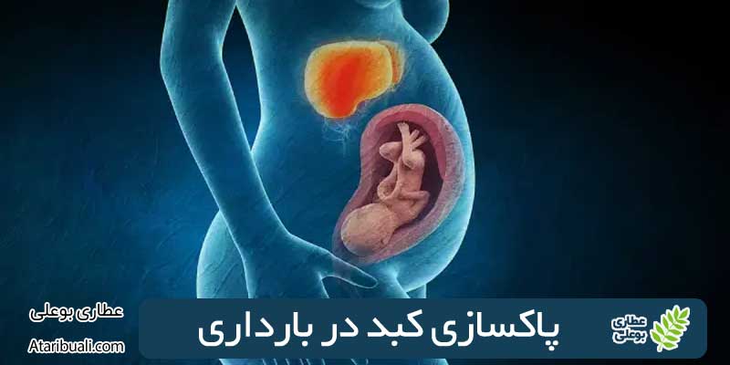 پاکسازی کبد در بارداری