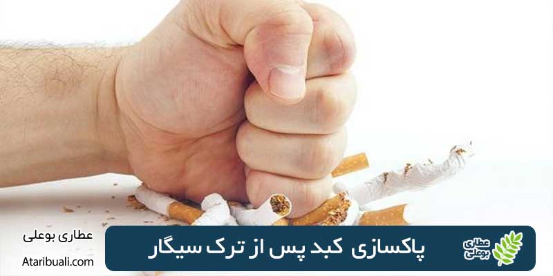 پاکسازی کبد پس از ترک سیگار