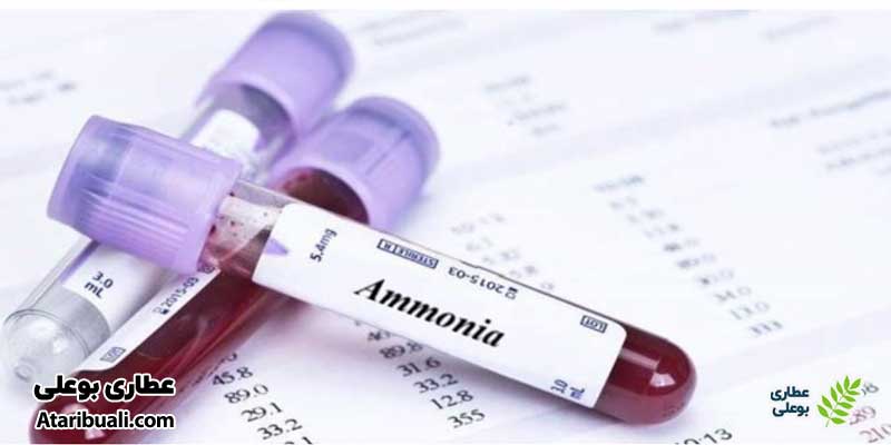آزمایش آمونیاک (Ammonia Test)