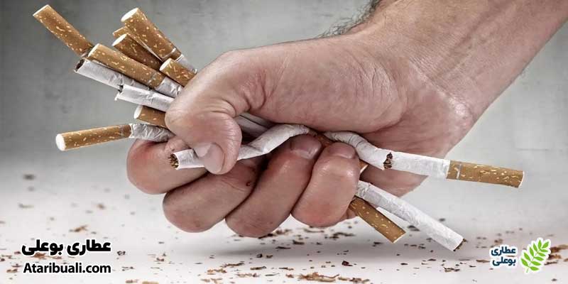 ببینید وقتی سیگار را ترک می‌کنید چه اتفاقی برای بدن شما می‌افتد
