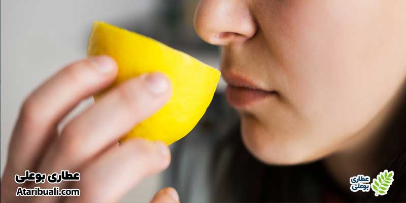 48 ساعت: حس بویایی و چشایی