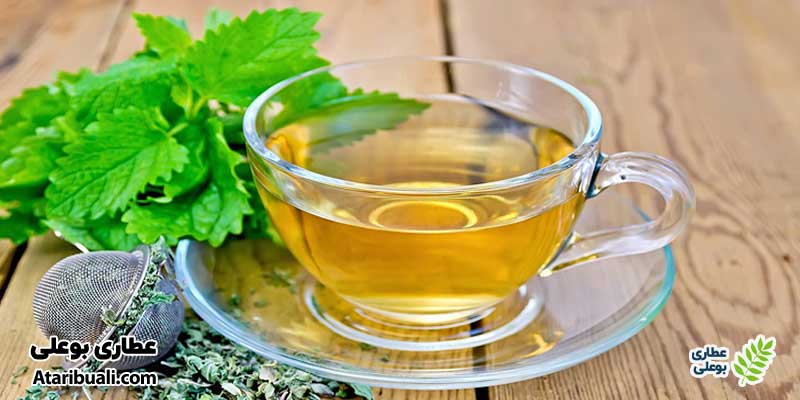 دمنوش بادرنجبویه