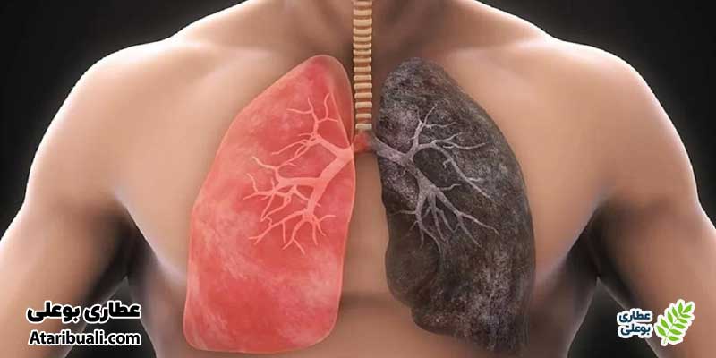 روش‌های صحیح برای پاکسازی ریه‌ها پس از ترک سیگار