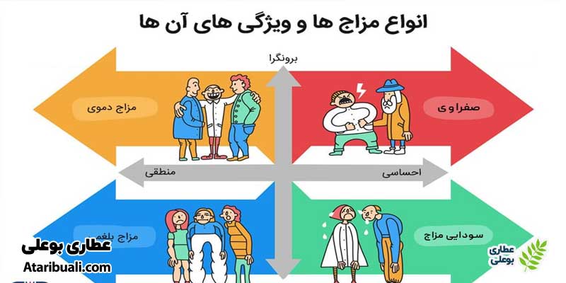 سودا چیست؟