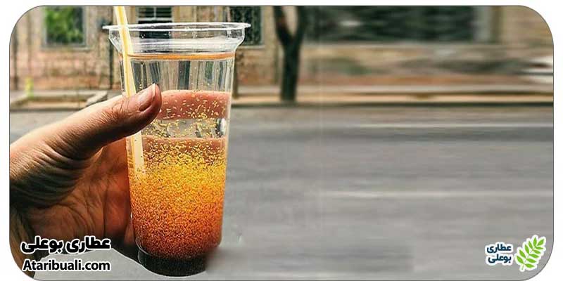طریقه مصرف خاکشیر با آب گرم برای کبد