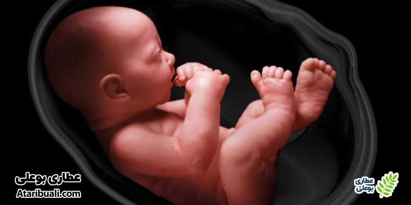 عوارض کبد چرب بارداری بر روی جنین