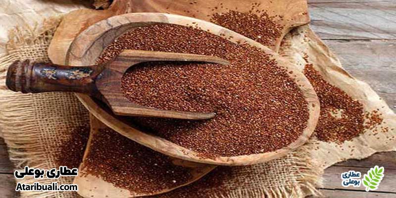 مزایای خاکشیر برای کبد چرب