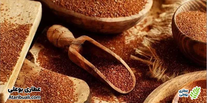 مواد مغذی موجود در خاکشیر