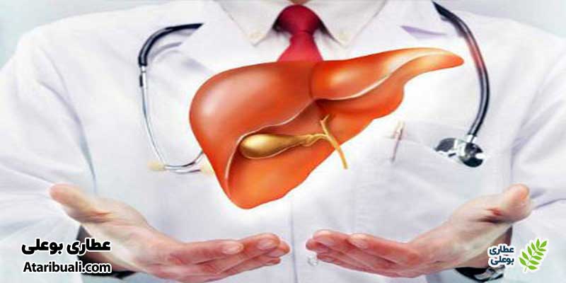 چرا سم زدایی کبد مهم است؟
