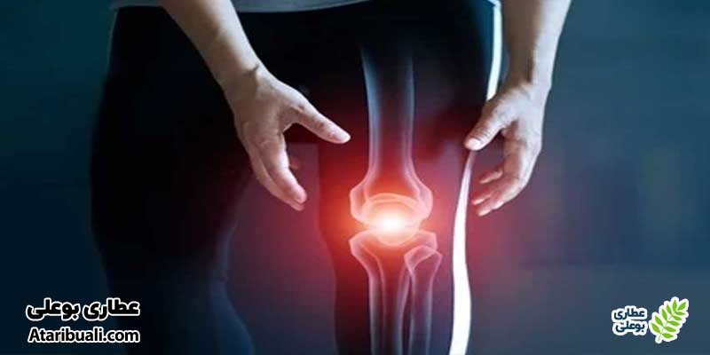 خواص عرق خارشتر برای آرتروز