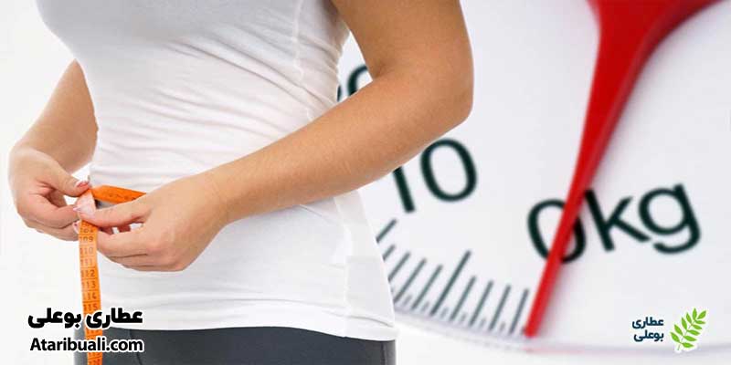 خواص عرق خارشتر برای کاهش وزن