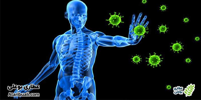 خواص عرق شاتره، تقویت سیستم ایمنی بدن