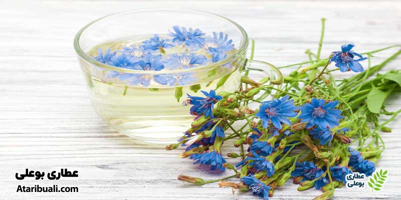 خواص عرق شاتره و عرق کاسنی