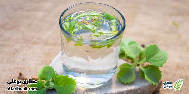 طریقه مصرف عرق زنیان برای معده