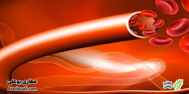 عرق خارشتر، تصفیه‌کننده خون