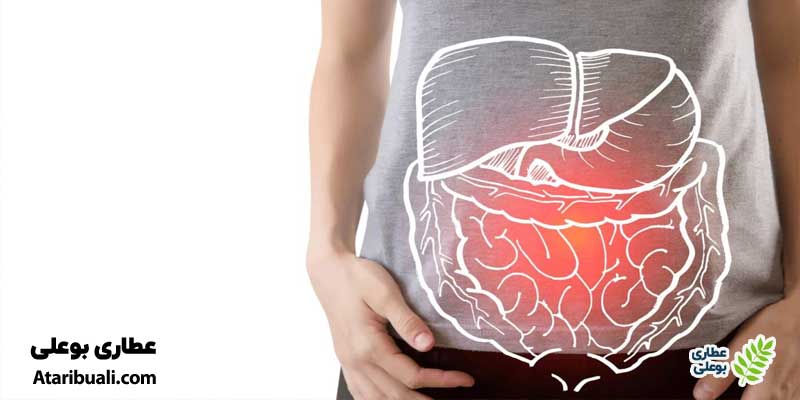 خواص عرق رازیانه برای تقویت دستگاه گوارش