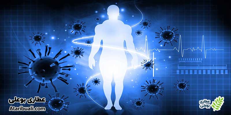 خواص عرق رازیانه برای تقویت سیستم ایمنی بدن