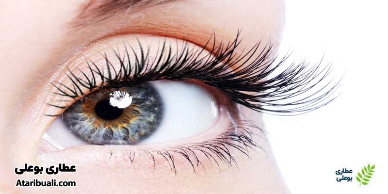 خواص عرق رازیانه برای سلامت چشم