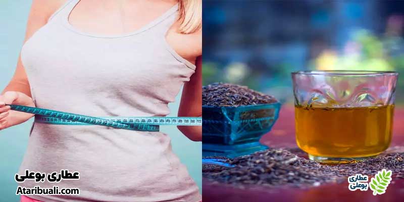 خواص عرق زنیان برای لاغری شکم