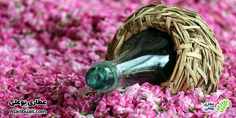 گلاب دارای خواص ضد التهابی و تسکین‌دهنده