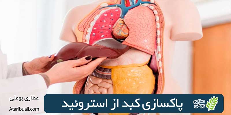 Clearing the liver from steroids