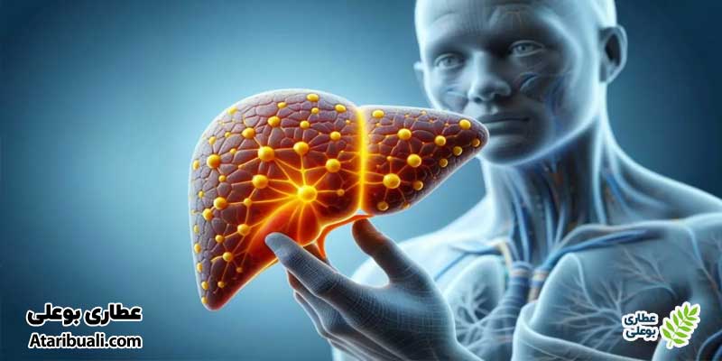  استروئید‌ها چگونه موجب سمیت کبدی می‌شوند؟