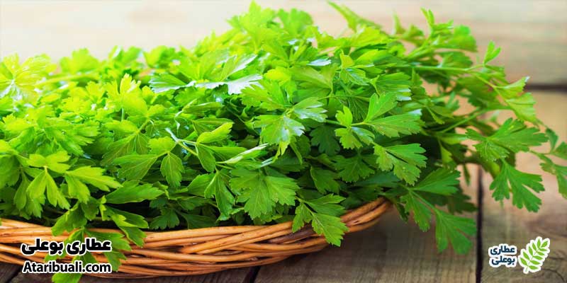 جعفری برای پاکسازی کبد
