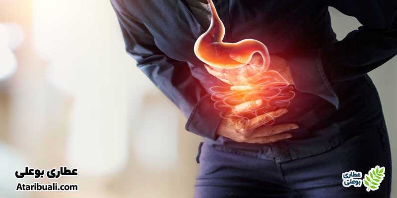 دارو گیاهی معده کاژوا برای چه کسانی مفید است؟