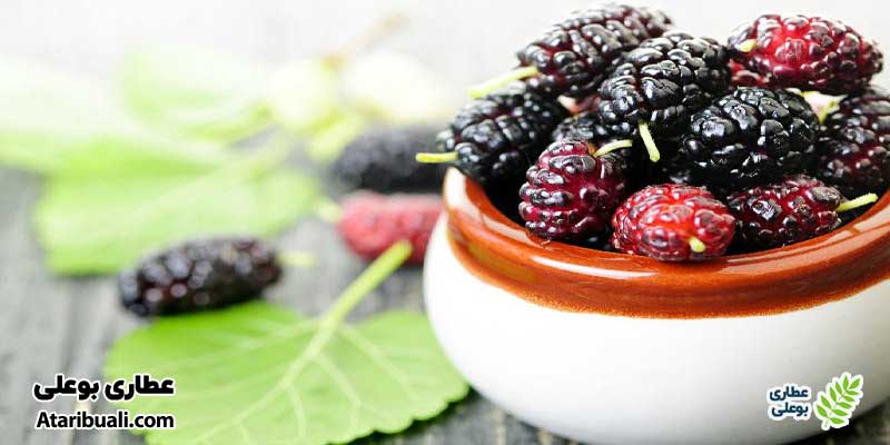 شاه‌توت برای پاکسازی کبد