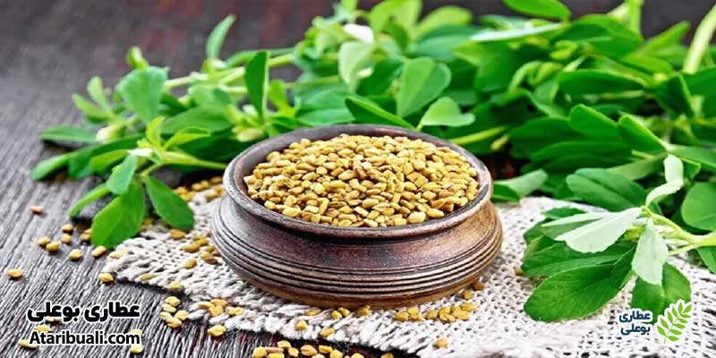 شنبلیله برای پاکسازی کبد