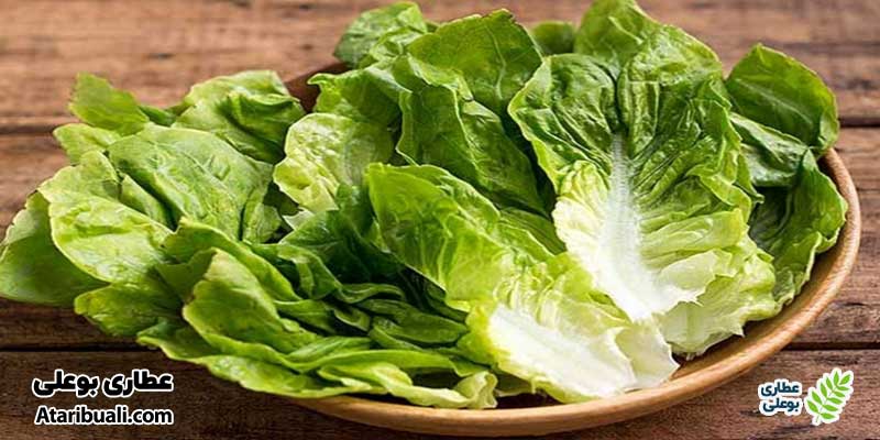 کاهو بهترین سبزی برای کبد چرب