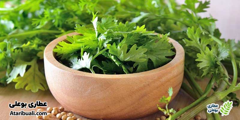 گشنیز برای پاکسازی کبد