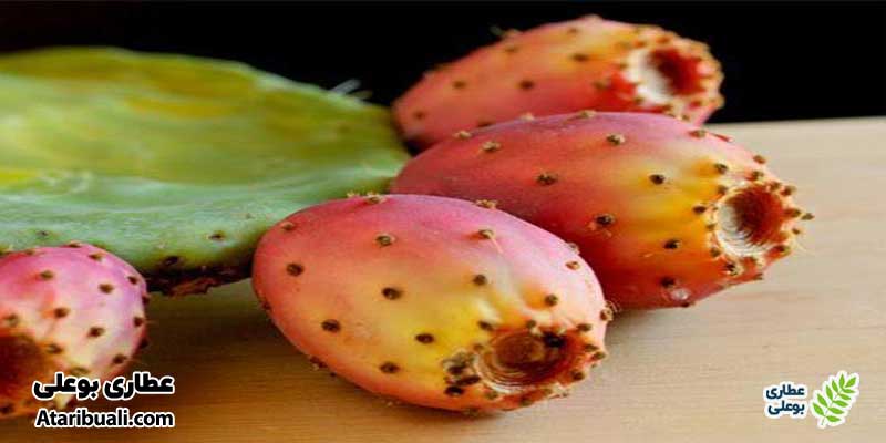 گلابی خاردار (میوه کاکتوس) برای پاکسازی کبد