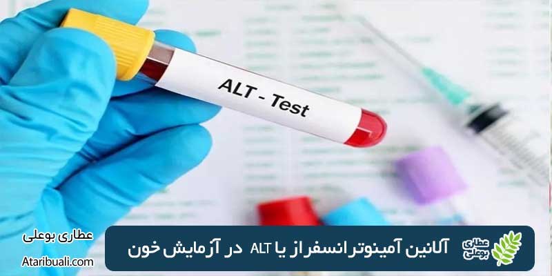 آلانین آمینوترانسفراز یا alt در آزمایش خون