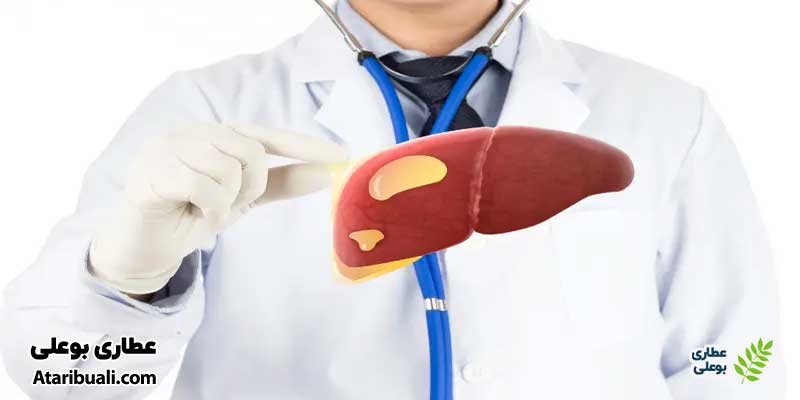 ارتباط کبد چرب و افزایش ALT در آزمایش خون