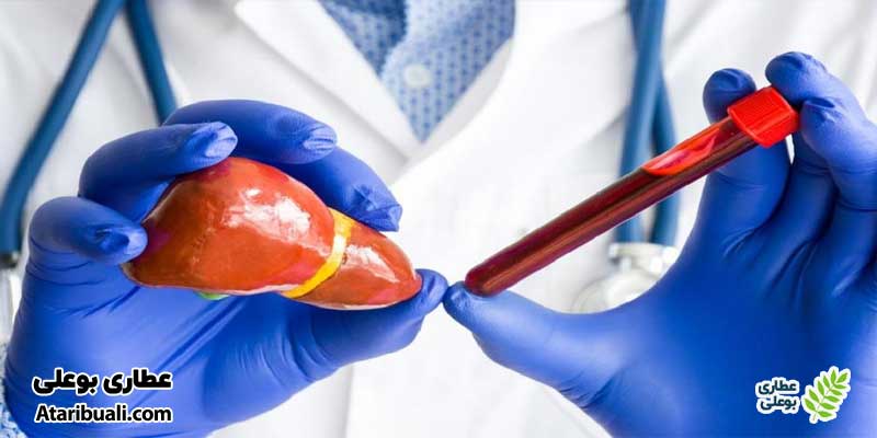 نحوه انجام آزمایش ALT چگونه است؟