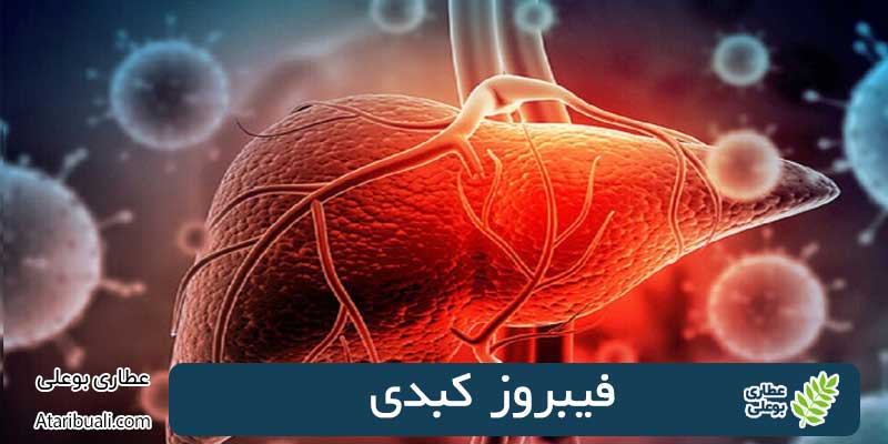 What is liver fibrosis?