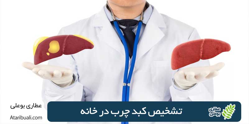 تشخیص کبد چرب در خانه