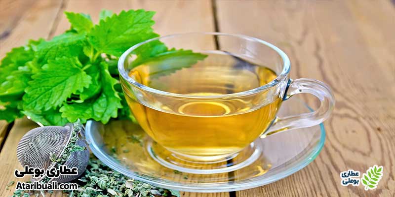 دمنوش بادرنجبویه