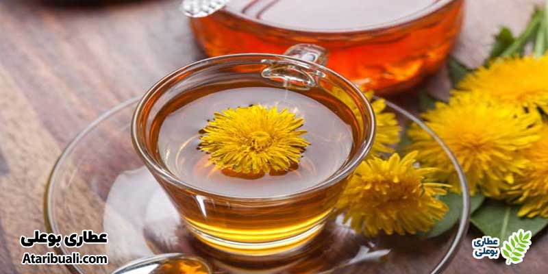 دمنوش ریشه قاصدک