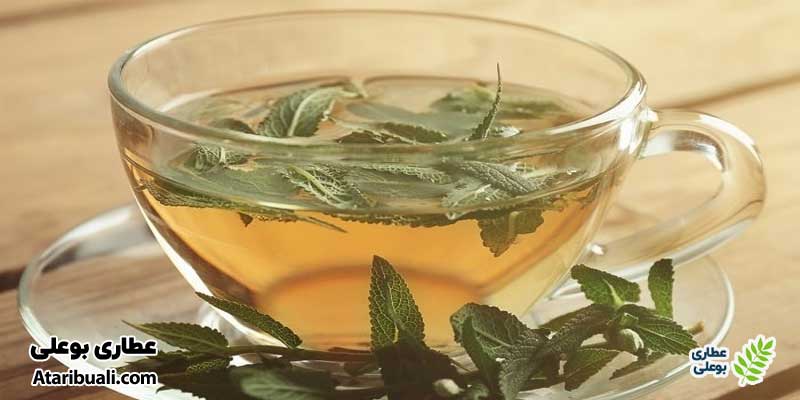 دمنوش مریم گلی